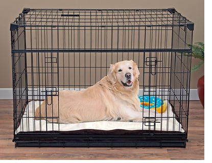 Dog Crate Open air for Exec Pet Transportation